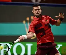 迈阿密热火八强战小胜广东男篮，德约科维奇砍下25记关键球，全场沸腾的简单介绍